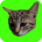 Ловите Кошек Ловите Кошек